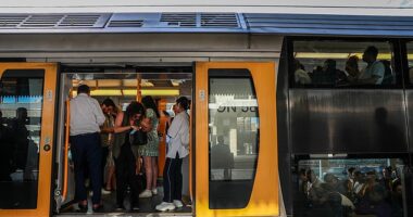Sydney Trains announced on Monday morning that urgent track repairs were being undertaken at Central Station