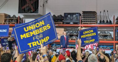 Teamsters Refuse to Endorse a Prez Candidate for 1st Time in 28 Years – Members Overwhelmingly Back Trump.