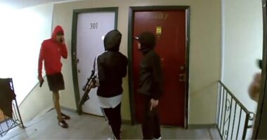 Ten Members of Migrant Crime Gang Arrested Following Apartment Takeovers.