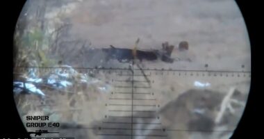 In the footage, which appears to be filmed through the sniper's scope, the brave Ukrainian soldier appears ready to shoot at enemy targets