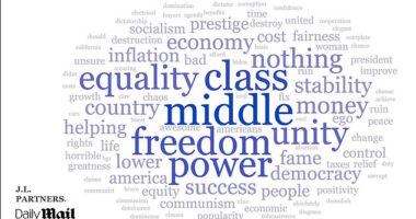 J.L. Partners asked 300 likely voters in seven swing states (Pennsylvania, Michigan, Wisconsin, North Carolina, Arizona, Georgia, Nevada) to sum up in a word what they expected from a Kamala Harris presidency. The results are shown in a word cloud