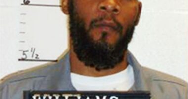 The Case Against Marcellus Williams – HotAir