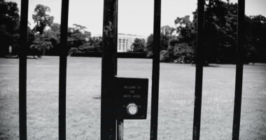 The Entire Deep State Just Endorsed Kamala.