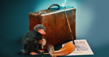 The Harry Potter Movies Wasted These Three Magical Creatures