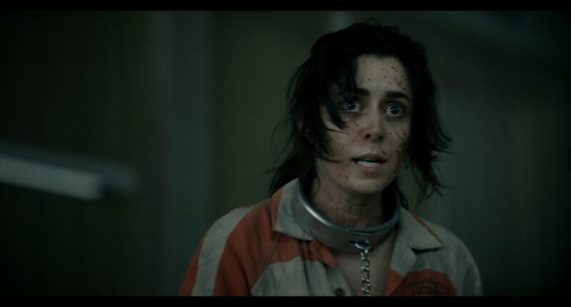 The Penguin Episode 2 Review: Sofia Falcone Takes Charge
