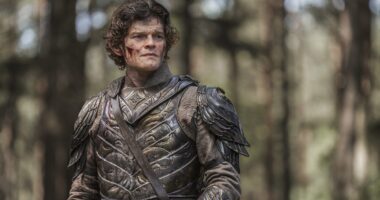 Robert Aramayo as Elrond in The Lord of the Rings: The Rings of Power season 2 episode 7.