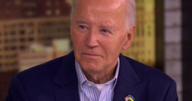 President Joe Biden showed his support for Ukraine by sporting a pin showing the US and Ukrainian flags side by side during his appearance on The View