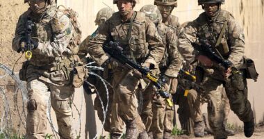 These soldiers, sailors and airmen are at the edge. They fight bloodthirsty terrorists and intercept international organised criminals (stock image)