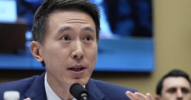 TikTok Fights US Ban in Court, But Judges Are Skeptical – HotAir