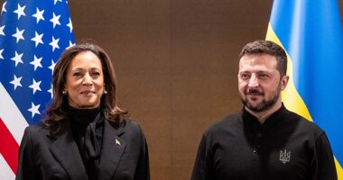 'Vice President Kamala Harris is the best ¿ and only ¿ presidential candidate in this race who is fit to serve as our commander-in-chief,' the retired generals and admirals wrote in their letter. She is seen here with Ukraine's President Volodymyr Zelensky in June