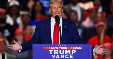 Donald Trump accused Kamala Harris of 'spying' on his campaign after the FBI revealed Iranian hackers stole sensitive information and turned it over to the Democrat's 2024 campaign