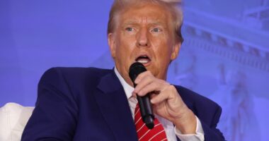 Trump blasts Harris’s support for a tax on unrealized capital gains for the very rich: ‘It is the craziest idea’