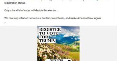 Former President Donald Trump's campaign used a picture from Georgia the country instead of Georgia the state in paid advertisements on social media