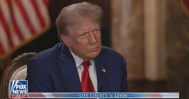 'Whoever heard you get indicted for interfering with a presidential election where you have every right to do it, you get indicted and you poll numbers go up,' former President Donald Trump told Fox News interviewer and radio host Mark Levin