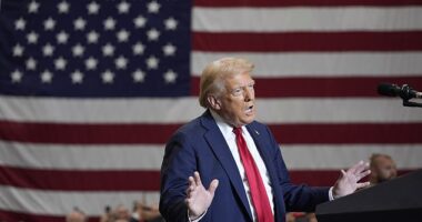 Former President Donald Trump said President Biden should tell Iran's leaders their country would be blown 'to smithereens' if he gets harmed, after he got briefed on an assassination threat