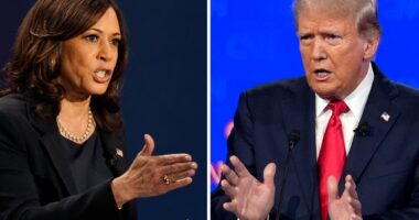 Trump spews debunked tales of Haitian pet eating and post-birth abortions in first rally after Harris debate: Live