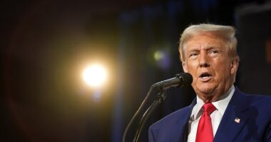 Donald Trump unveiled a radical new plan to use cash from tariffs to fuel a sovereign wealth fund to invest in roads, airports and defense technology