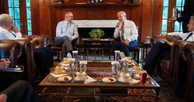 President Joe Biden has not allowed the media to cover his bilateral meetings with world leaders at his home. But he is seen here with Australian Prime Minister Anthony Albanese in images posted on their Twitter accounts