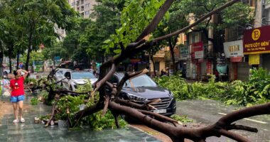 Typhoon Yagi latest: ‘Strongest’ storm to hit Asia this year kills 14 in Vietnam