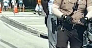Miami Dolphins receiver Tyreek Hill was handcuffed and detained by police on Sunday