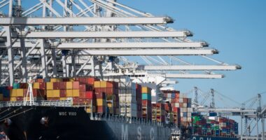 U.S. trade deficit in goods shrinks 8.3% in August