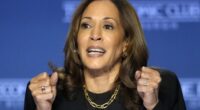 VIce President Visits Border, Promises to Get Tough on Immigration Next Year – HotAir