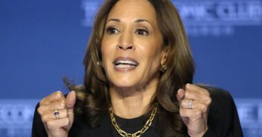 VIce President Visits Border, Promises to Get Tough on Immigration Next Year – HotAir