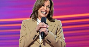 Vice President Kamala Harris Goes Viral With Her Secret Recipe For THIS Beloved Dish, Greens