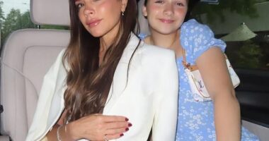 Victoria Beckham proved she hadn't been blessed with Brooklyn's cooking skills when she suffered a kitchen 'disaster' on Friday while trying to make breakfast for Harper (stock)