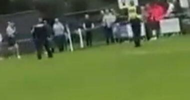Police could be seen escorting the player off the pitch before he was later released without charge