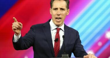 Whistleblowers Tell Josh Hawley Secret Service Agents 'Woefully Unprepared' to Protect Candidates – RedState