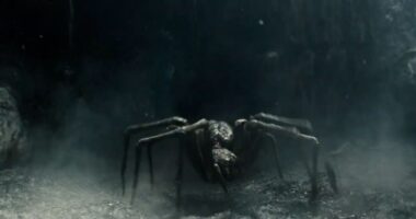 Who Is Shelob in ‘The Lord of the Rings’?
