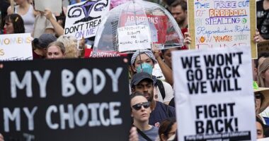 Senate Democrats led by Chuck Schumer on Tuesday forced a repeat vote on the Right to IVF Act after Republicans blocked a first attempt to pass the legislation in June