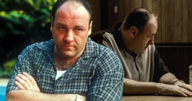 Why The Sopranos Ended After Season 6
