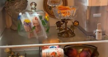 In the latest trend sweeping social media, 'fridgescaping' has seen TikTok influencers adorning their fridges with fresh flowers, handmade picture frames, mirrors and other trinkets