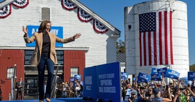 Vice President Kamala Harris taking the stage at her campaign event in North Hampton, NH on September 4, 2024