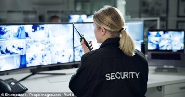 Night owls have a higher risk of developing type 2 diabetes because their body clock is out of sync with society, experts have warned. Pictured: Stock image of security guard