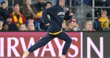 The young pitch invader evaded security guards before he was stopped by a man in the crowd