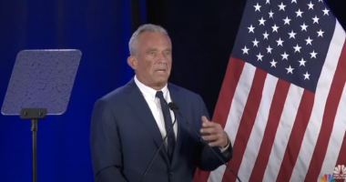 Wisconsin Appeals Court Will Hear RFK Jr's Ballot Appeal