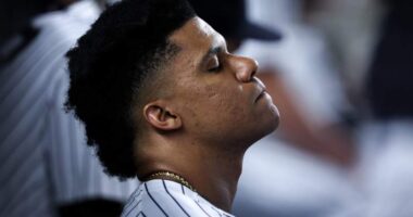 Yankees Predicted to be 'Most Active' in MLB Free Agency