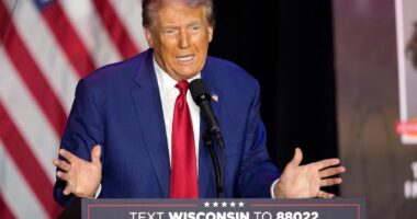 ‘Literally proposing The Purge’: Trump mocked online after his solution to crime is compared to horror movie
