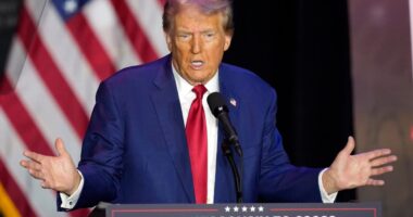 ‘Not normal’: Social media reacts after Trump makes bizarre comments about a fly he’s bothered by on stage