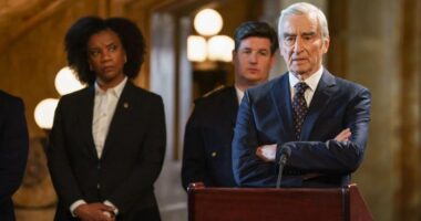 10 Best 1990s Crime Shows, Ranked