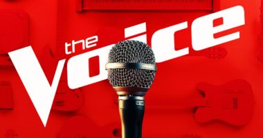10 Singers Who Should Have Won 'The Voice,' But Didn't