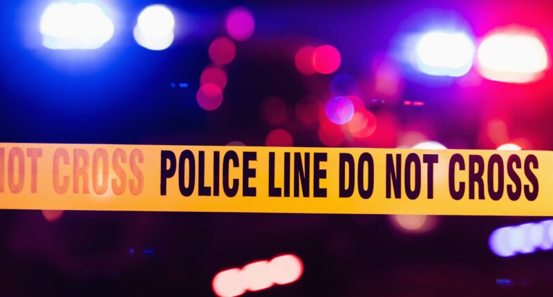 Say WHAT?! 13-Year-Old Michigan Girl Charged After Fatally Stabbing Her 7-Year-Old Sister