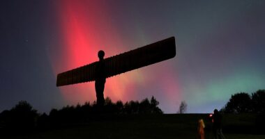 TYNE AND WEAR: Amazing shades of red and green captured at the Angel of the North in Gateshead