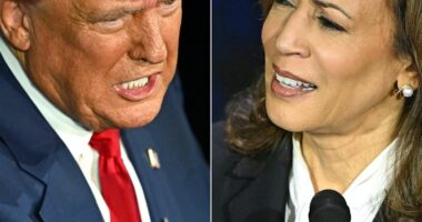 2024 presidential election live updates: Donald Trump and Kamala Harris tied in Pennsylvania as Jack Smith filing is unsealed