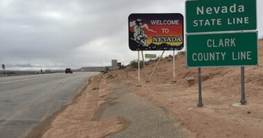 300 Individuals Confirm They Shouldn't Be On Nevada's Voter Rolls