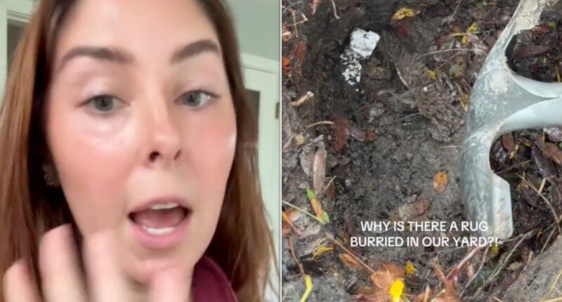 A Mysterious Buried Rug Sparked A Slew Of Theories Online. Then Police Started Digging.