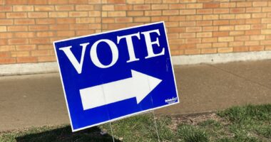 Vote sign
